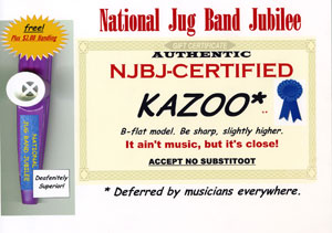 kazoo_cert_scan   